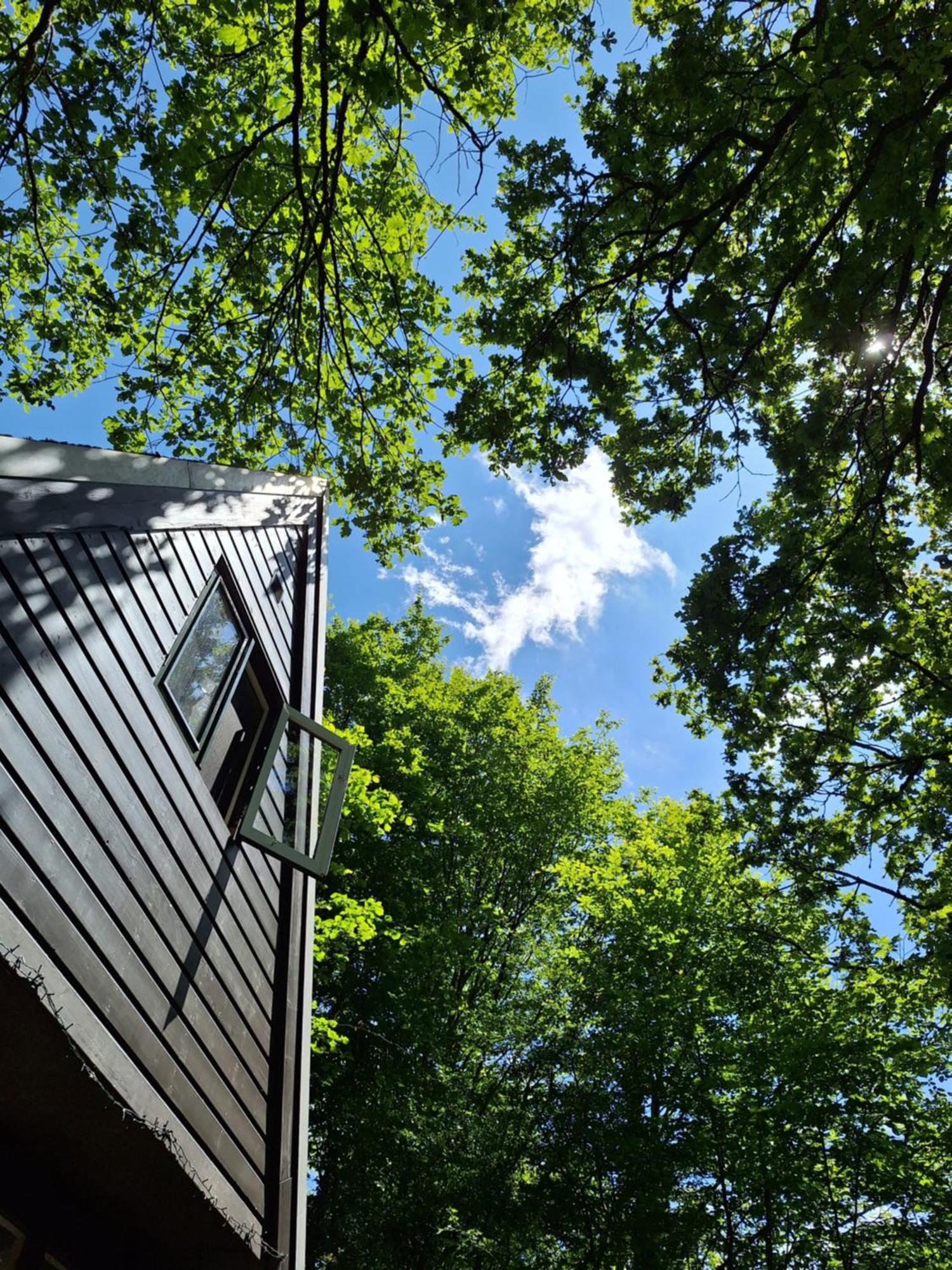 Chalet 139 Hakuna Matata Дюрбюи Экстерьер фото